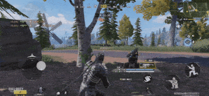 图片4.gif