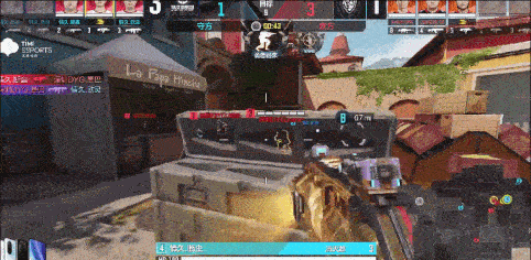 10.gif