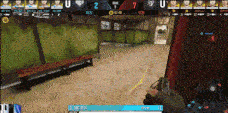 GIF10.gif