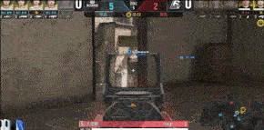 GIF5.gif